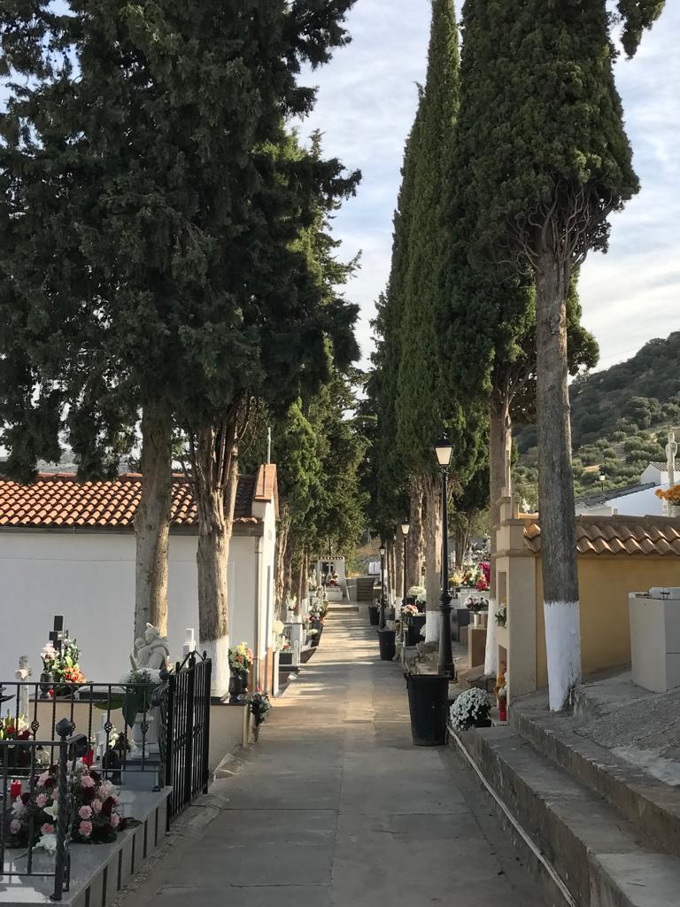 El cementerio de&nbsp;Frailes
